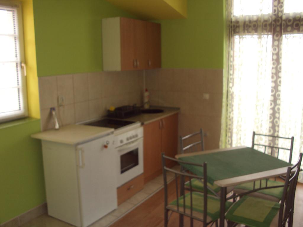 Apartments Hadzi Soko Banja Rum bild